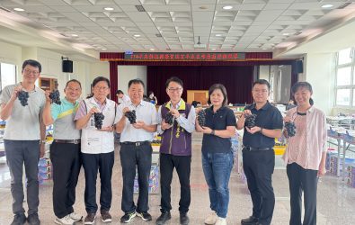 114年度彰化縣優質溫室早春巨峰葡萄評鑑競賽，吸引來自六鄉鎮共70組果農參賽，堪稱農業界的「葡萄選美大賽」。（縣政府提供）