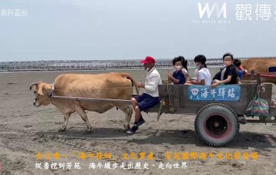 2025國際海牛文化節熱鬧開幕，不僅有牛車體驗、寫生活動、產業市集，還能沿著紅樹林海空步道賞夕陽。（彰化縣政府提供）