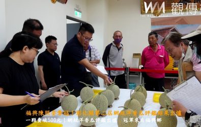 彰化縣永靖鄉農會舉辦第二屆網紋洋香瓜評鑑，由專家針對外觀及口感等進行評鑑，以外表、熟度、果肉顏色及口感和甜度做評分。（記者陳雅芳攝）