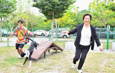彰化縣政府今年委託兩家專業動保團體執行TNVR工作，預計完成2,300隻遊蕩犬貓的絕育與疫苗注射，進一步壓低流浪動物成長速度，降低繁殖壓力。（彰化縣政府提供）