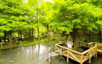 1140614-211桃園蘆竹農遊季邀民眾體驗夏日農村樂。