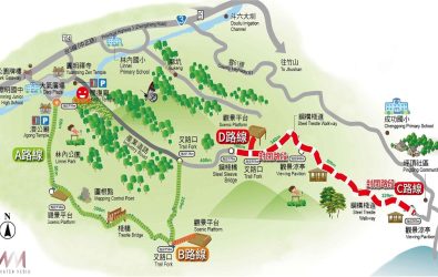 「龍過脈森林步道」自2025年6月25日起至9月30日止，將針對鐵管坑至坪頂路線（C、D線）進行全面封閉施工。（圖／記者蘇榮泉翻攝）