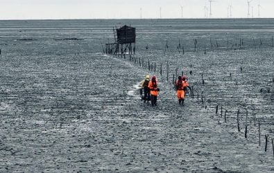74歲施姓老翁日前往芳苑鄉潮間帶採蚵後失聯，經過連續3天陸海空大規模搜尋，於新街海堤外1.7公里處的泥灘地發現遺體。（消防局提供）