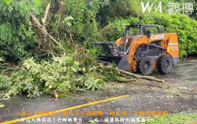 颱風丹娜絲來襲！彰化二水花旗木倒6棵、埔鹽3處樹倒！無人傷亡、公所迅速派員鋸除清理。（民眾提供）