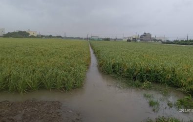 受丹娜絲颱風及連日強降雨影響，彰化縣農業損失慘重，彰化被列為農損現金補助地區。（縣政府提供）