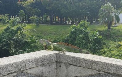 messageImage_1752629983574農業處為民服務業務說明