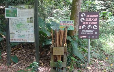 為提升登山安全並推廣國產竹材，長盛工程公司慷慨捐贈100支「愛心竹杖」予雲林縣林內鄉的龍過脈森林步道，放置於三處登山入口處。（圖／記者蘇榮泉翻攝）