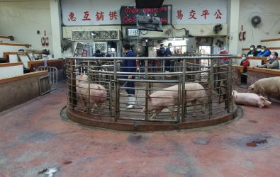 豬源短缺致豬價飆漲！彰化縣肉品市場宣布將於7月30日停止拍賣及屠宰作業，傳統豬肉攤商也將於7月31日全面休市一天。（記者陳雅芳攝）