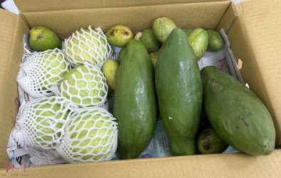 深感公所效率與溫度兼具，歐姓鄉民特地從臺東寄出一箱水果作為致謝之禮。（圖／臺西鄉公所提供）
