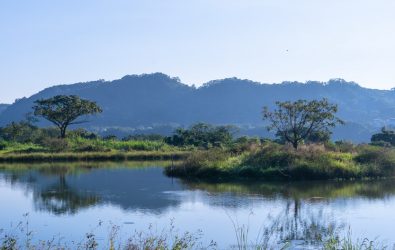 1140730-211桃園大漢溪埔頂排水計畫 打造海綿城市新典範。