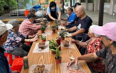 民眾體驗製作水苔球
