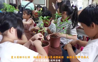 背單字不如採蔬菜學英文！福德國小暑期英語班今帶學生走進台盛農場，邊摸青菜邊開口說英語，學習變得更有趣也更實用。（記者陳雅芳攝）
