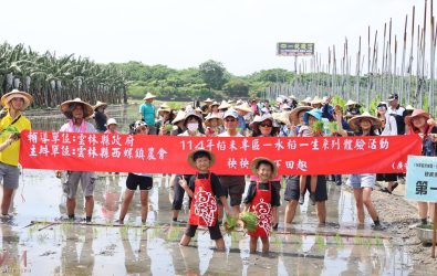 西螺鎮農會9日上午在鹿場區域乾燥中心旁農地舉辦水稻插秧食農體驗活動。（圖／記者蘇榮泉攝）