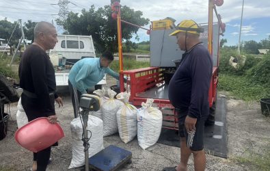 楊柳颱風登陸，彰化沿海漁民紛紛下海加緊收成牡蠣與文蛤，力求減少颱風損害。（縣議員賴清美提供）
