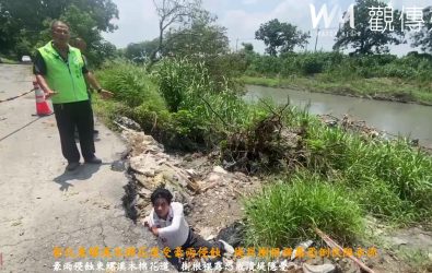 火紅木棉花美景將消失？彰化東螺溪花道受豪雨沖刷，樹根裸露、堤岸受損，民眾憂心倒伏潛在危險。（記者陳雅芳攝）