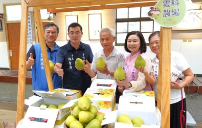 斗六文旦節將於9月9日評鑑、9月13日展售，市公所攜手柚農力推「地產地銷」。（圖／記者蘇榮泉攝）