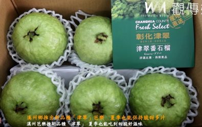 溪州農會舉辦「津翠」芭樂新品發表會，這款由中興大學謝慶昌教授研發的新品種，即便在炎熱夏季也能保持果肉厚實、脆甜多汁。（記者陳雅芳攝）