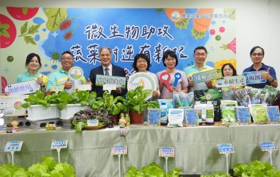 面對颱風、豪雨與乾旱，臺中農改場推耐候菌株，實驗證實可提升蔬菜生長表現2至5成，協助農民減少氣候風險。（臺中農改場提供）