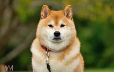 wm20251030081514649713 wm20251030081514649713