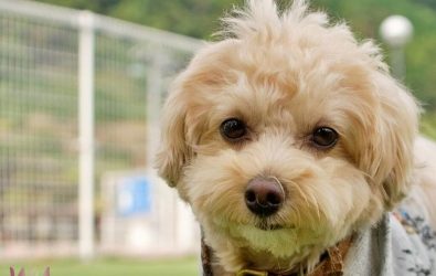 wm20251101082520991139 wm20251101082520991139