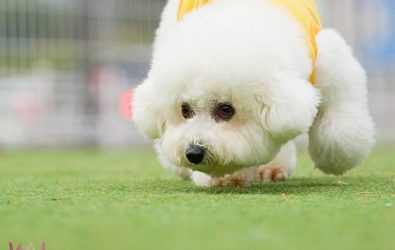 wm20251102081228028996