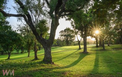 wm20251102085004724546