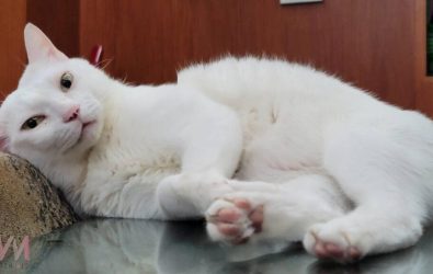 wm20251103082429369658