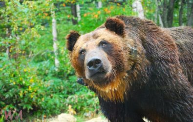 wm20251105142905622155