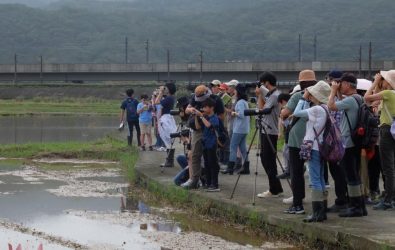 wm20251107152056872005