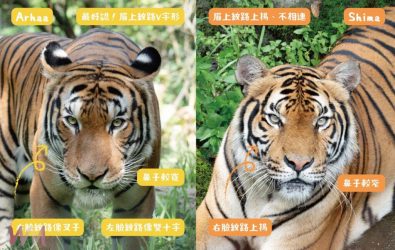 wm20251108084445635159