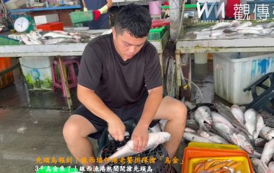 立冬首捕烏魚上岸，漁民李文德、李浩仁父子昨晚捕獲3000多尾先頭烏，塭仔港湧現搶購人潮。（縣議員賴清美提供）