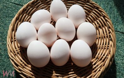 wm20251111085544833524