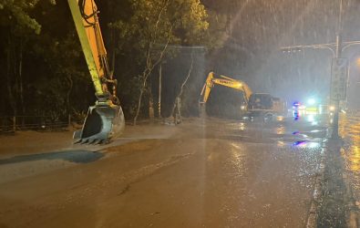 messageImage_1762774811695_0