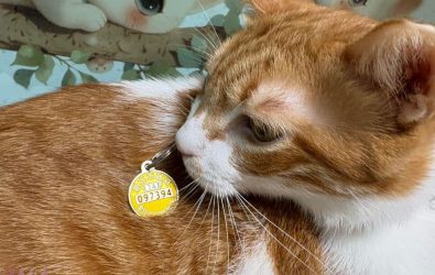 wm20251112083108924303