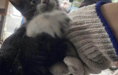 wm20251112131550693842