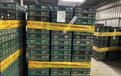 芬普尼陰影未散！彰化縣文雅畜牧場又驗出殘留，縣府立刻封場、監控，16萬顆雞蛋全被封起來。（縣府提供）