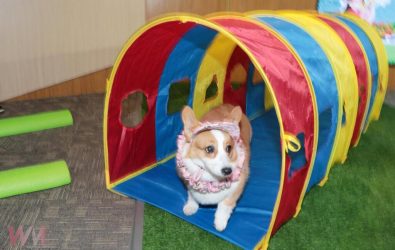 wm20251115085851210938