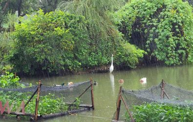 wm20251116214751020221