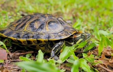 wm20251118080834780300