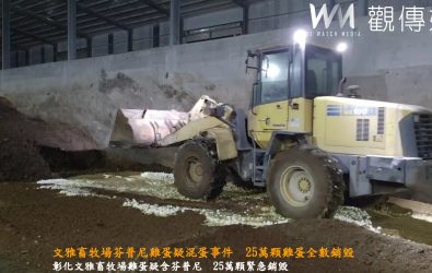 彰化文雅畜牧場雞蛋疑似含禁藥芬普尼，縣府連夜銷毀約25萬顆蛋，並啟動全縣蛋場全面監測，確保消費者食安無虞。（縣府提供）