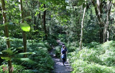 wm20251120081342968260