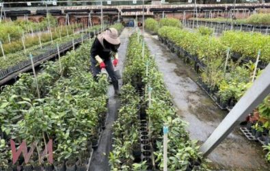 wm20251120183732727458