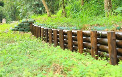 木構造工程具可分解與低碳排的特性，其材料本身亦為重要碳儲存載體