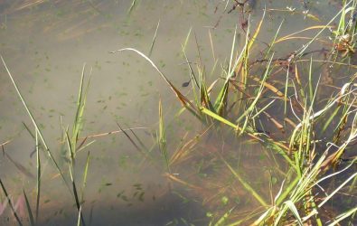 wm20251124002006550008