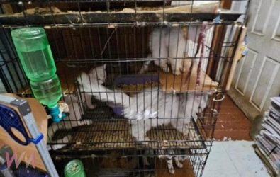 wm20251125082104261170