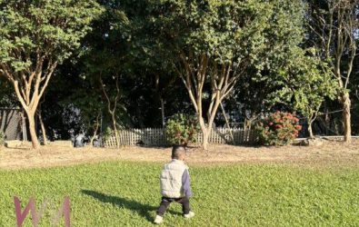 wm20251125130018379466