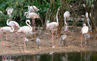 wm20251126084638268874