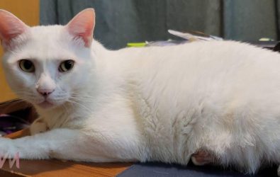 wm20251127113554517869