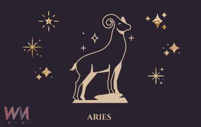 wm20251128073030631279