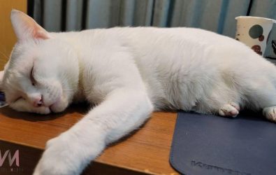 wm20251128113132380266